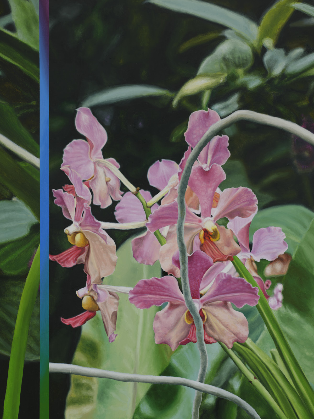 <p>Julian Hoeber<br /><em> Pink Moth Orchid Pink Moth Orchid, </em>, 2025<br />Detail</p>