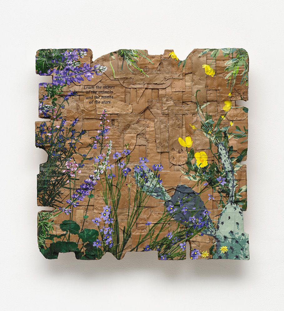 Andrea Bowers<br><em>Learn the Names of the Animals And the Names of the Stars (Passage from Deena Metzger, “Someone Remembers the Colors of Birds”, A Sabbath Among the Ruins, 1992, p.165), Local Plant Studies</em>, 2025<br>Acrylic on cardboard<br>20 x 20 x 3 inches / 50.8 x 50.8 x 7.6 cm