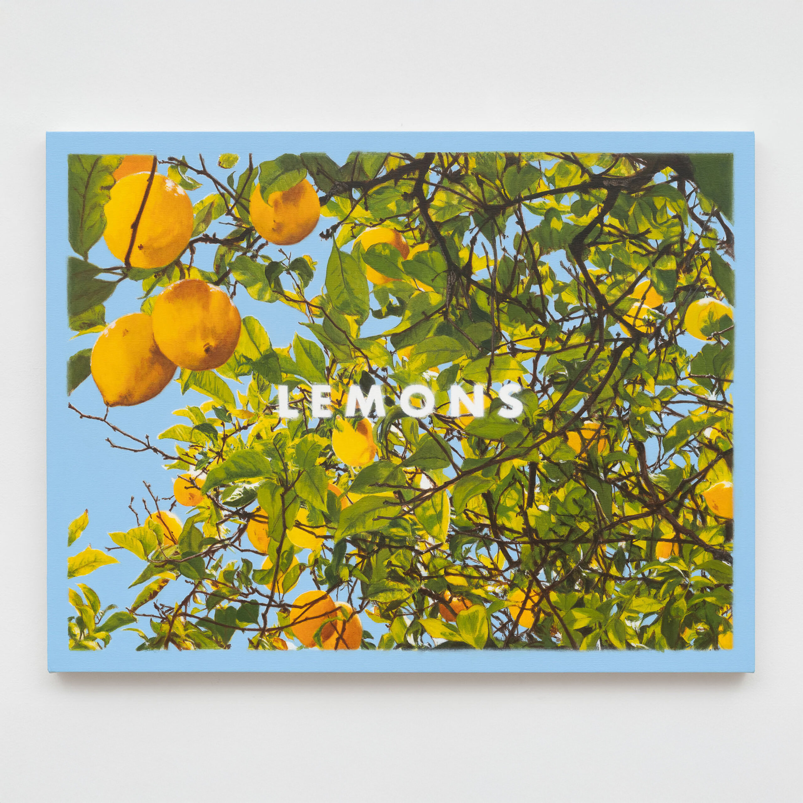 Luke Butler<br><em>Lemons</em>, 2025<br>Acrylic and acrylic gouache on canvas<br>32 x 42 x 1 1/4 inches / 81.3 x 106.7 x 3.2 cm