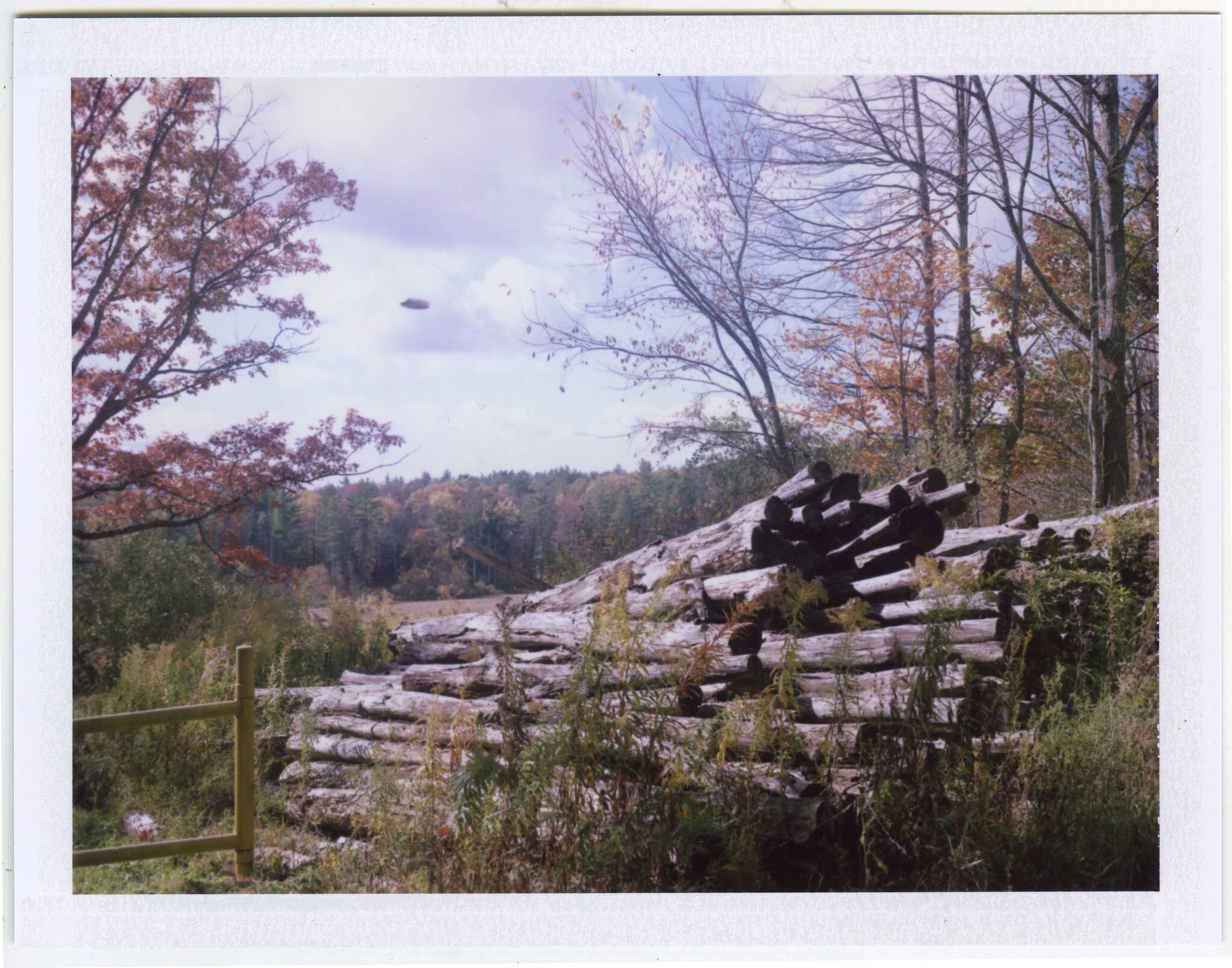 <p>Trevor Paglen<br /><em>Near Todd Road (undated)</em>, 2025<br />Detail view</p>
