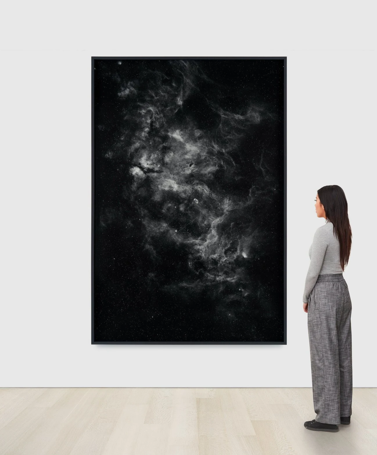 <p>Trevor Paglen<br /><em>UNKNOWN #89161 (Unclassified object near The Revenant of the Swan)</em>, 2023<br />Silver gelatin LE print<br />81 1/8 x 55 1/8 x 2 1/4 inches<br />Edition of 3 plus 1 artist’s proof</p>
