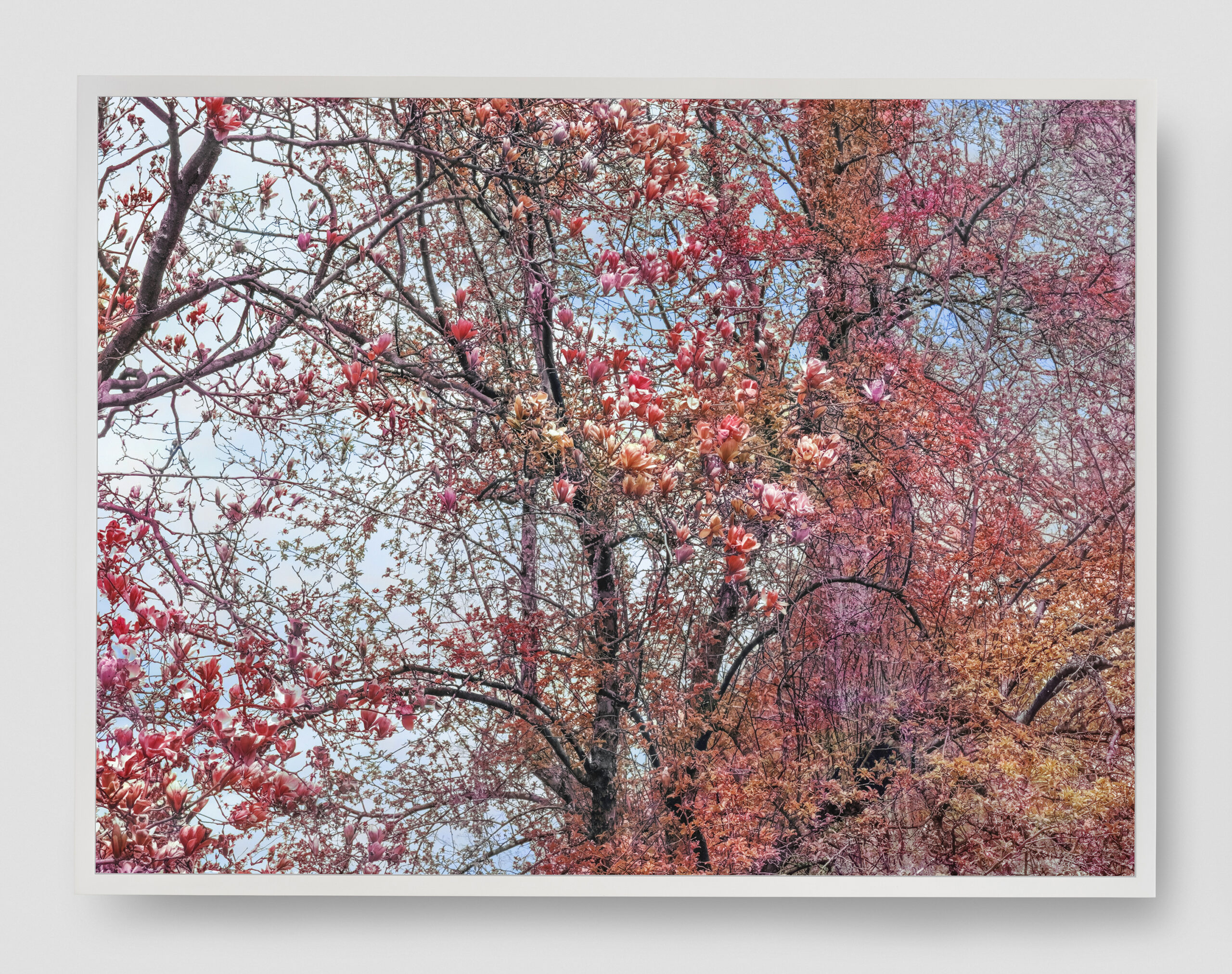 Trevor Paglen<br><em>Bloom (#957c7e)</em>, 2021<br>Dye sublimation on aluminum print<br>41 5/8 x 55 1/8 inches / 105.73 x 140.02 cm<br>Edition of 5 plus 2 artist’s proofs (#4/5)