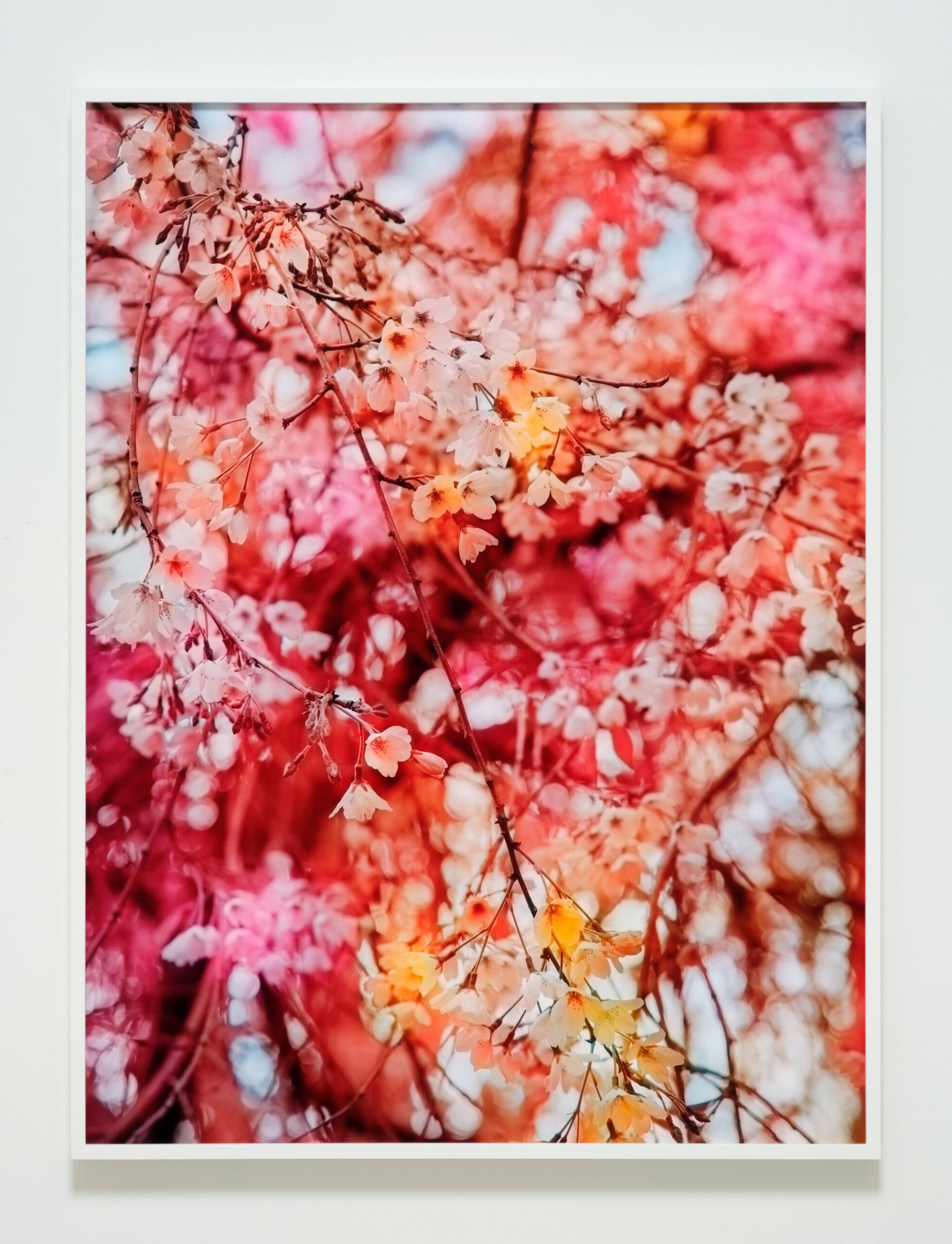 <p>Trevor Paglen<br /> <em>Bloom (#bb837e)</em>, 2022<br /> Dye Sublimation Print<br /> 55 1/8 x 41 5/8 x 2 in / 140 x 105.7 x 5.1 cm<br /> Edition of 5 plus 2 artist’s proofs</p>
