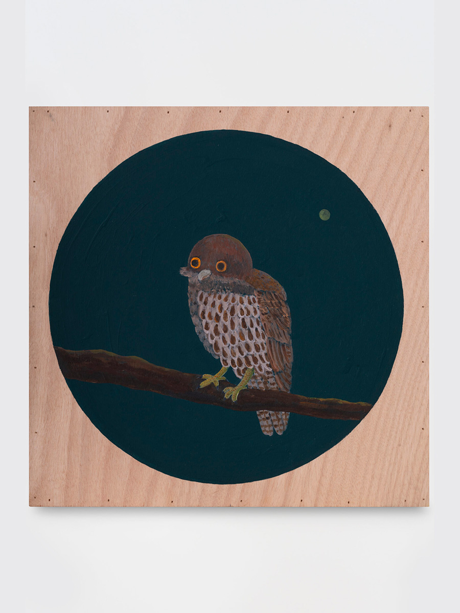 Atsushi Kaga<br><em>The Hours of Flight - Screech Owl</em>, 2025<br>Acrylic on board<br>17 7/8 x 17 7/8 x 3/4 inches / 45.4 x 45.4 x 2 cm