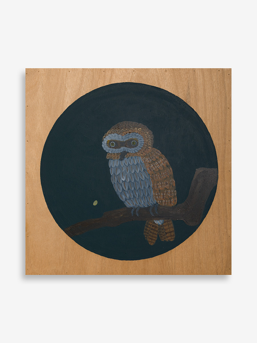 Atsushi Kaga<br><em>The Hours of Flight - Barred Owl</em>, 2025<br>Acrylic on board<br>17 7/8 x 17 7/8 x 3/4 inches / 45.5 x 45.5 x 2 cm