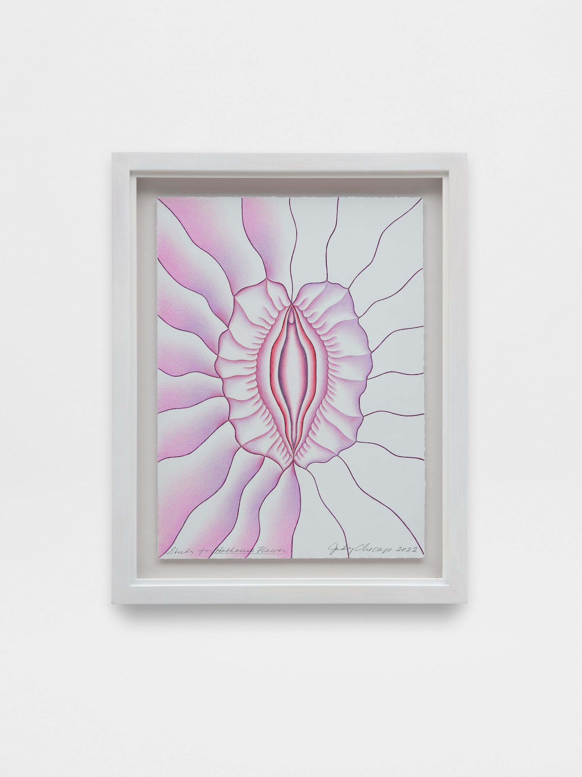 Judy Chicago<br><em>Study for Hothouse Flower</em>, 2022<br>Prismacolor on Magnani paper<br>18 1/2 x 14 1/2 x 2 inches / 47 x 36.8 x 5.1 cm