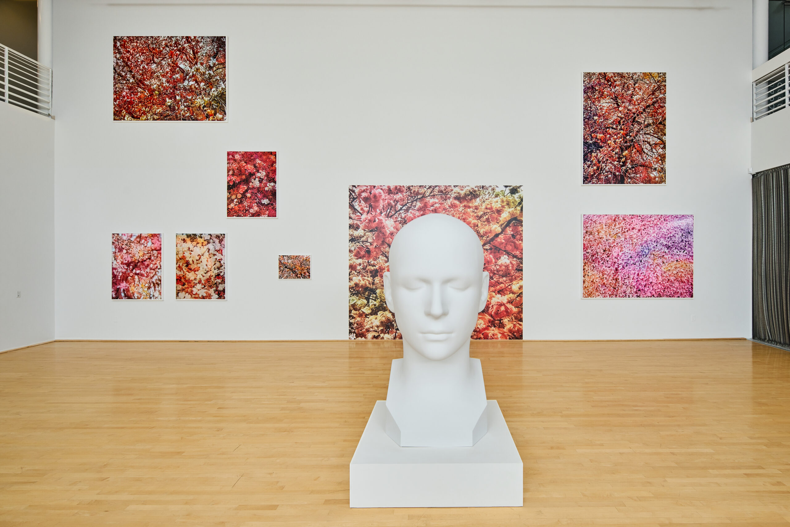 <p>Installation view<br /><em>Imaging After Photography,</em> 2026<br />Moody Center for the Arts, Houston, TX<br />Photography: Alex Marks</p>
