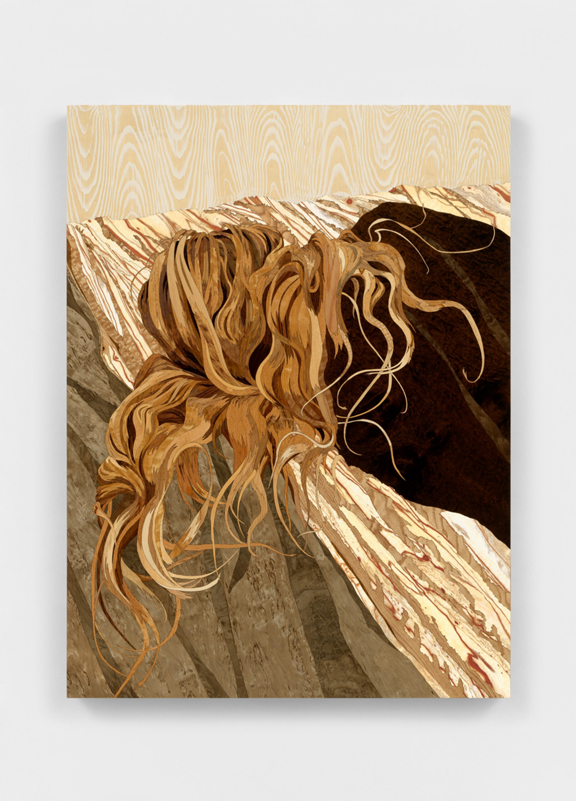 Alison Elizabeth Taylor<br><em>Untangled</em>, 2026<br>Wood veneer, shellac, acrylic, and pigment print on panel<br>35 x 25 3/4 x 1 3/4 inches / 88.9 x 65.4 x 4.4 cm