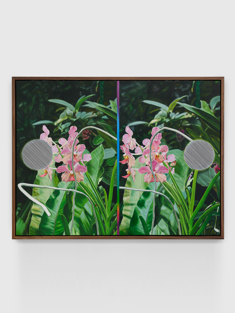 Julian Hoeber<br><em>Pink Moth Orchid Pink Moth Orchid</em>, 2025<br>Oil, Flashe, acrylic and graphite on linen over panel<br>38 x 49 1/2 x 2 1/2 inches / 95.3 x 124.5 x 6.3 cm