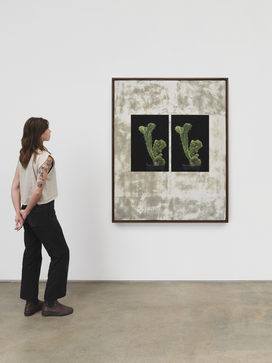 <p>Julian Hoeber<br /><em>Monstrose (The Beautiful Mutant),</em> 2026<br />Oil, acrylic, and Flashe on linen over panel<br />61 1/8 x 49 1/8 x 3 3/8 inches / 155.3 x 124.8 x 8.6 cm<br />Scale view</p>
