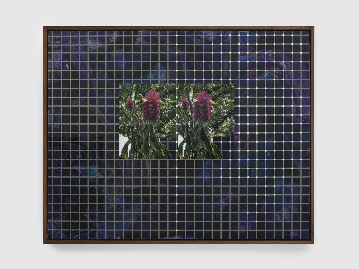 Julian Hoeber<br><em>Costus Comosus</em>, 2026<br>Oil, acrylic, Flashe, and collaged Bristol paper on linen over panel<br>49 1/8 x 61 1/8 x 3 3/8 inches / 124.8 x 155.3 x 8.6 cm