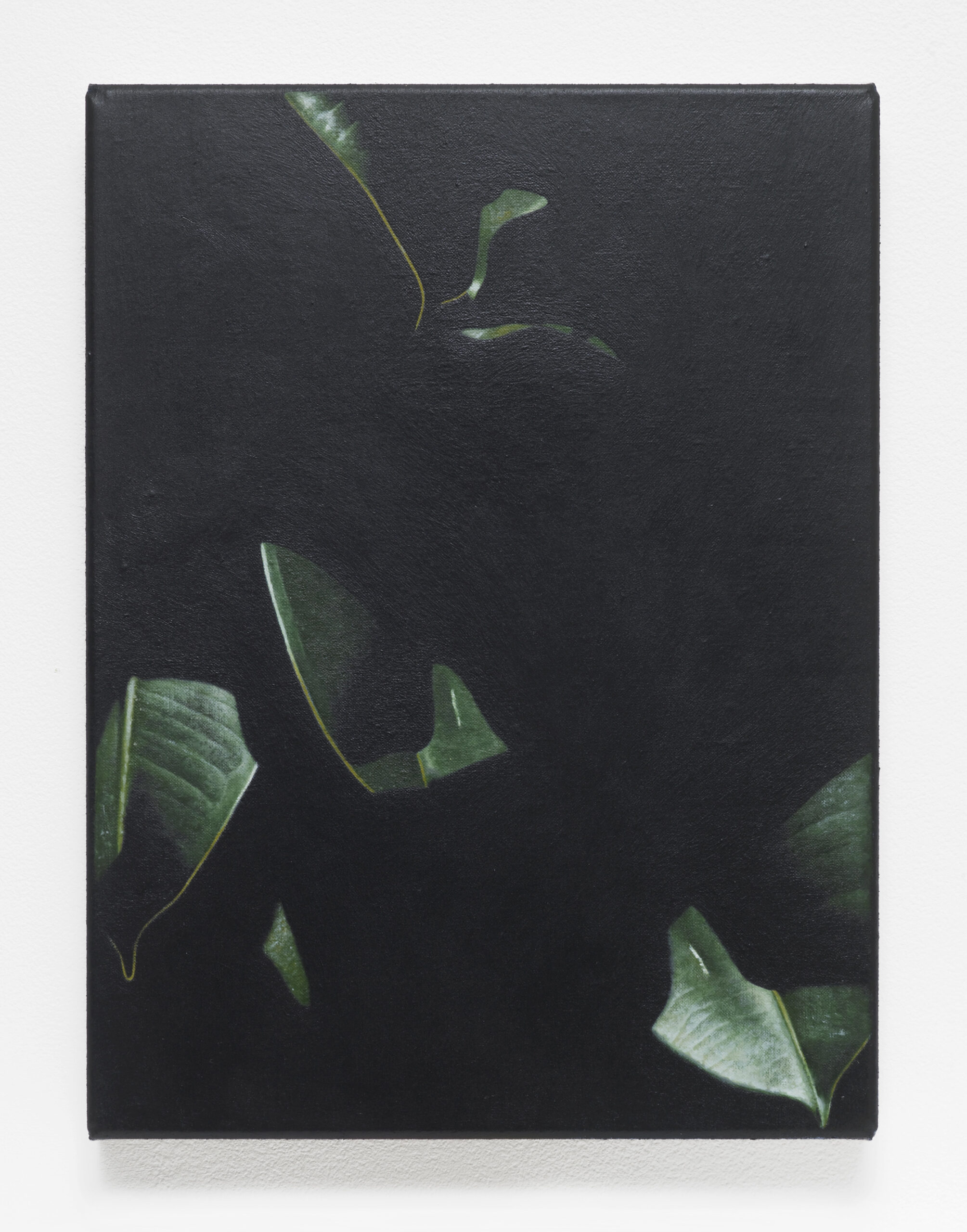 <p>Oliver Osborne<br /><em>Rubber Plant</em>, 2016<br />Oil on linen<br />12 5/8 x 9 1/2 inches / 32 x 24 cm</p>
