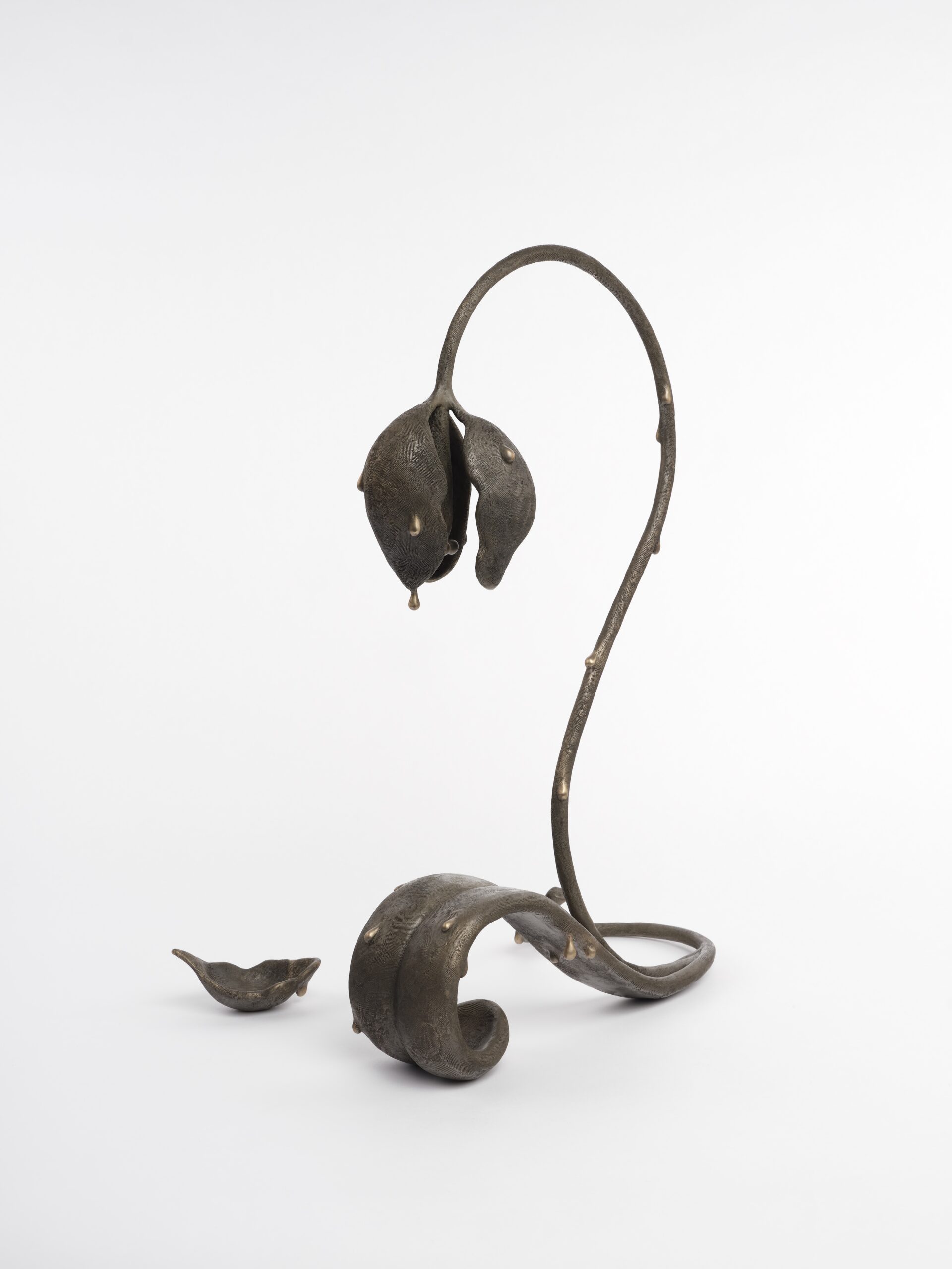 Koak<br><em>Bather</em>, 2022<br>Bronze with silver nitrate patina<br>24 1/4 x 18 x 9 inches / 61.6 x 45.7 x 22.9 cm